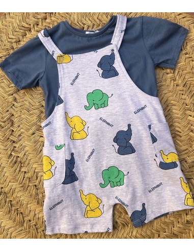 Conjunto peto elefante niño